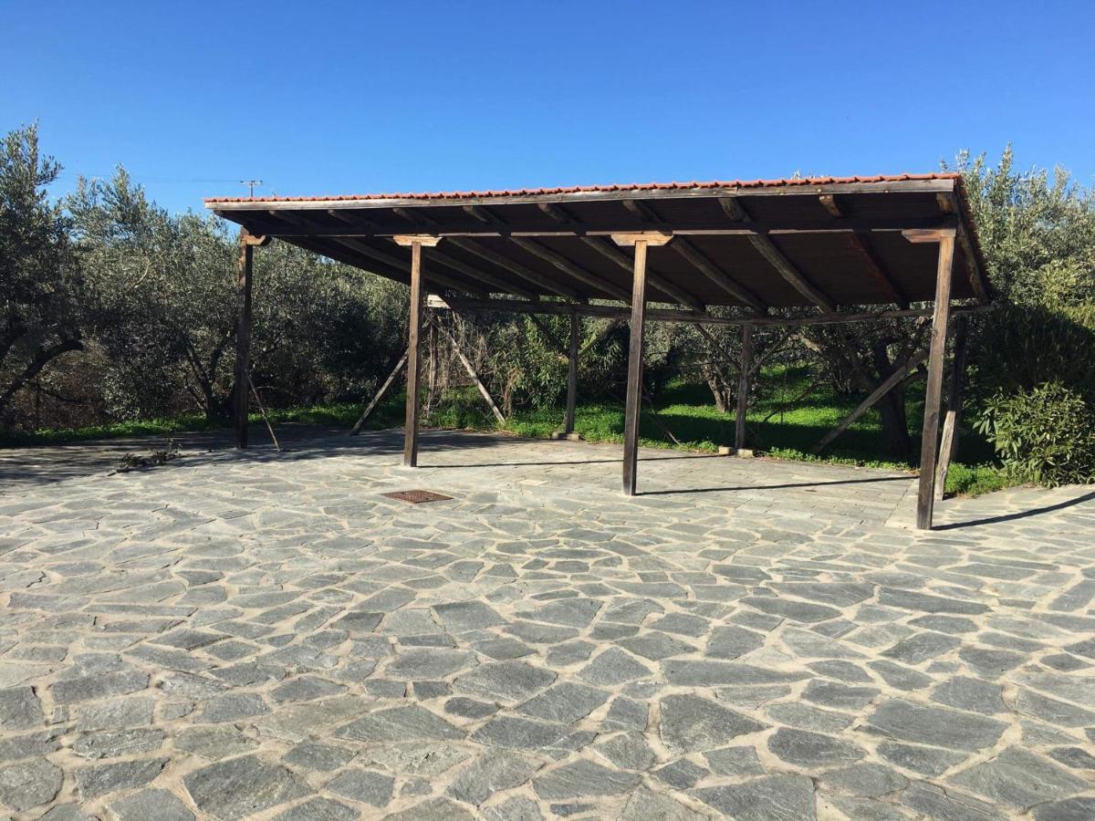 Alba Chiara Villa *